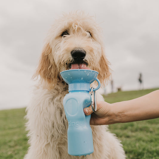 Pet Hydration Bottle 22oz